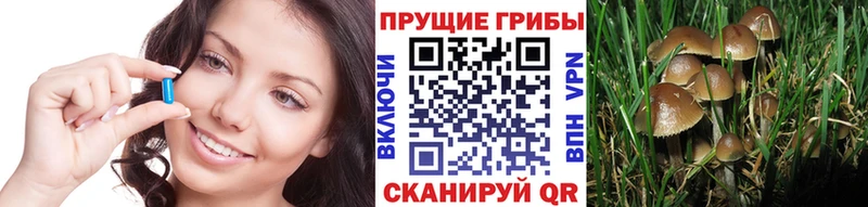 Псилоцибиновые грибы мицелий Верхоянск