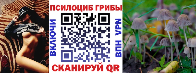 Псилоцибиновые грибы MAGIC MUSHROOMS  блэк спрут tor  Верхоянск  наркота 